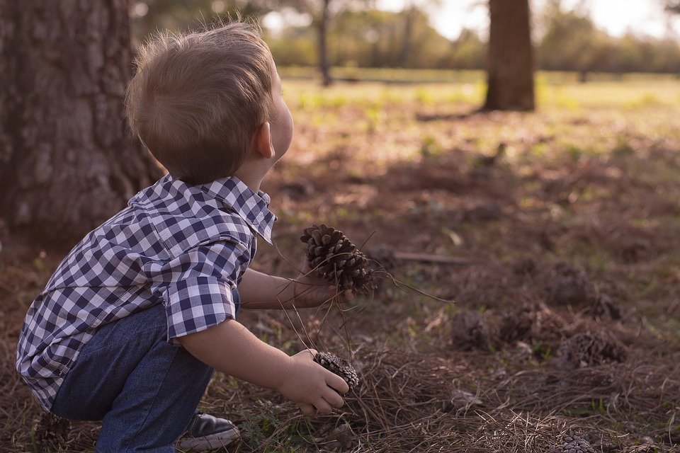 Knee-High Naturalists: Sense of Wonder