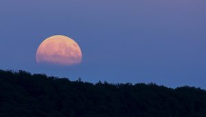 Sunset, Moonrise Hike
