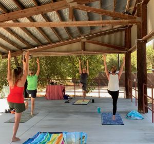 Outdoor Yoga