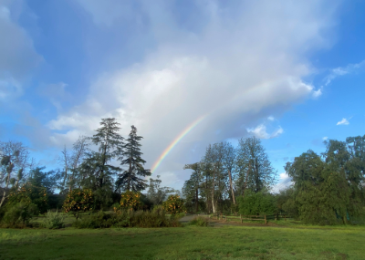 Leprechaun Hunt: 10:00am - 11:30am