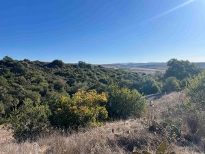 Presentation: From Rancho to Reserve-The History of The Nature Reserve at Rancho Mission Viejo