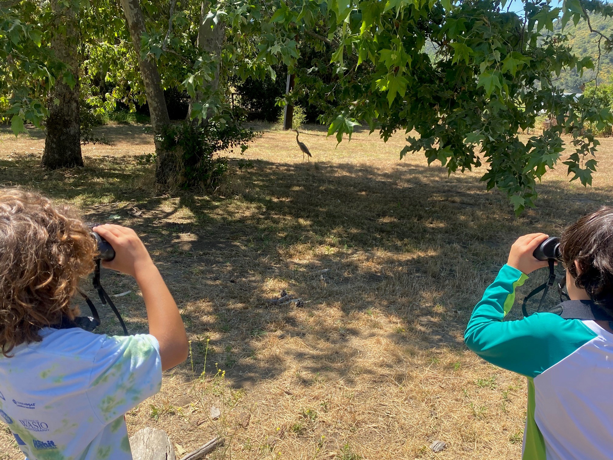 Summer Day Camp: California Animal Adventures!