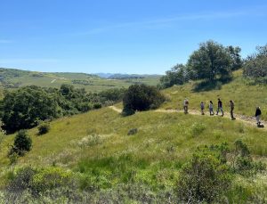 Spring Nature Hike