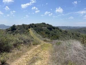 Watershed Divide Hike in Verdugo Canyon