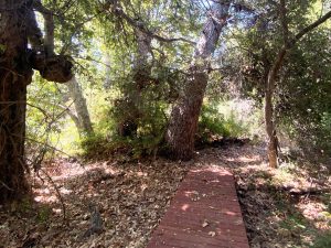 Fall Hike on the Richard and Donna O'Neill Conservancy