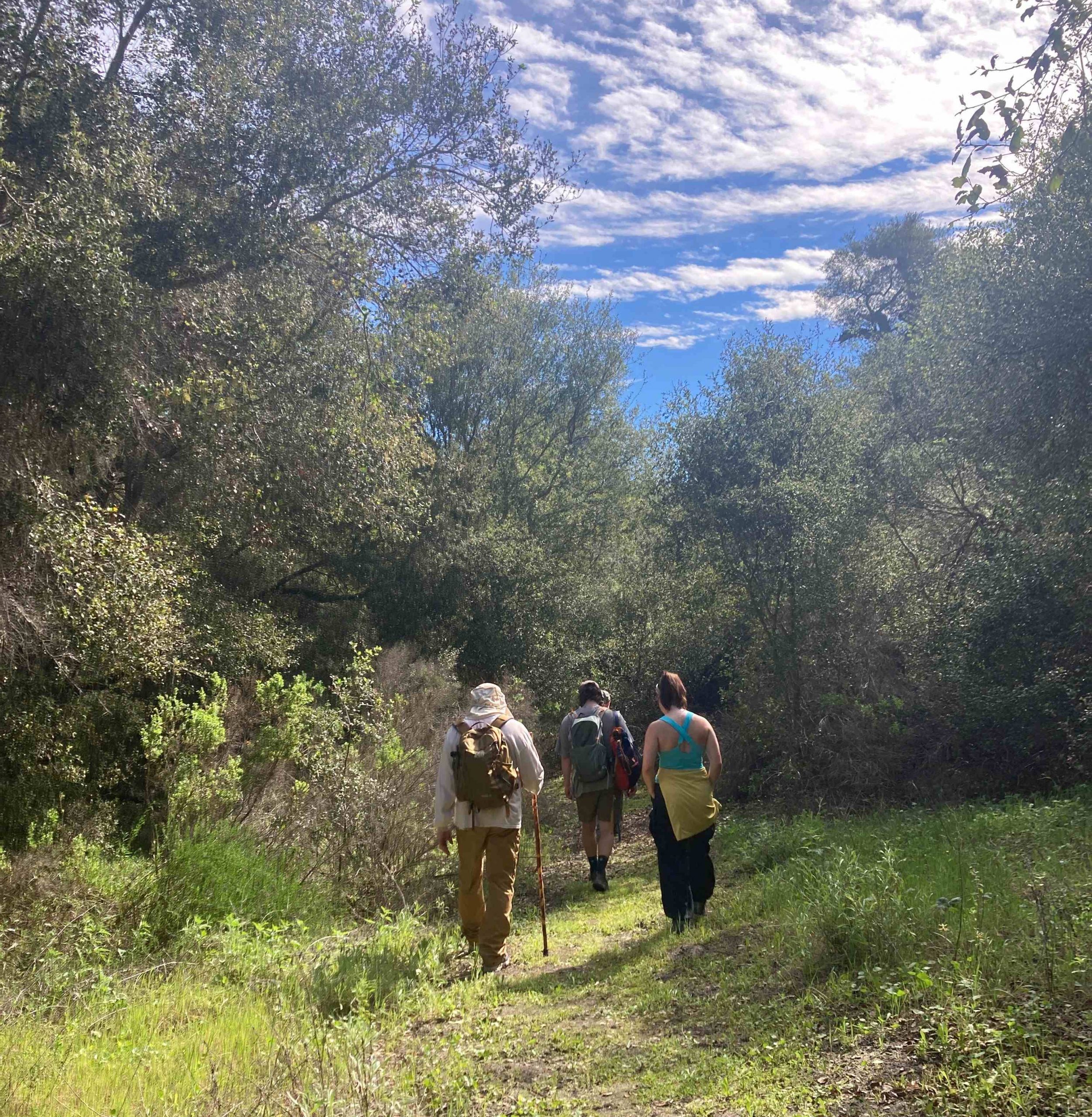 Weekend Open Access on The Richard and Donna O'Neill Conservancy