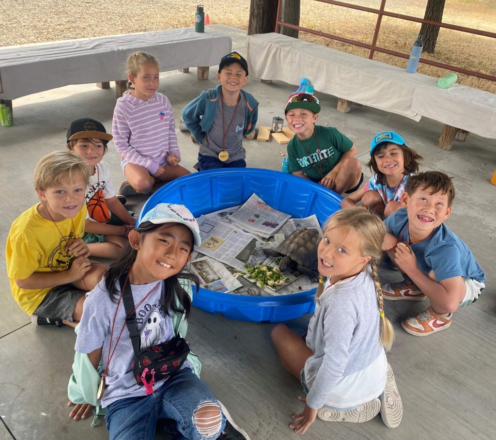 Summer Day Camp: California Creatures!