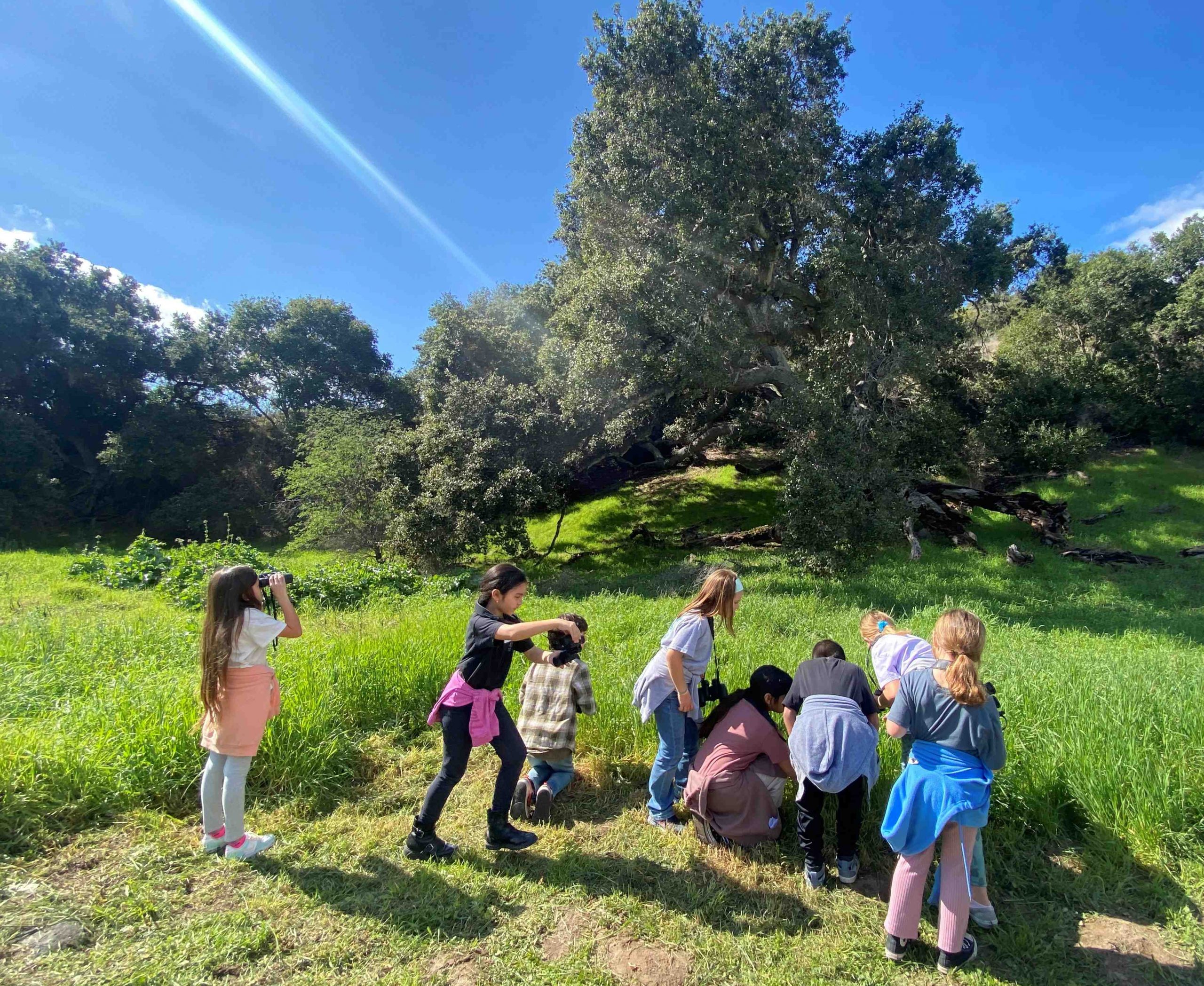 Celebrate Earth Week! Family Walk to Mother Oak
