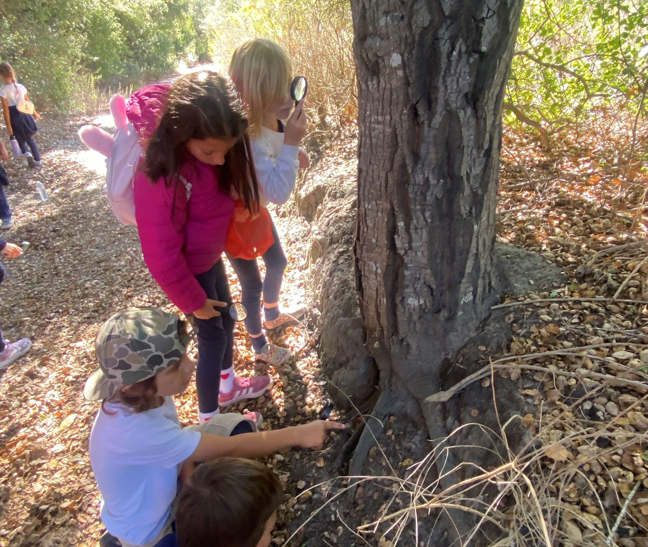 Investigating Habitats Family Walk